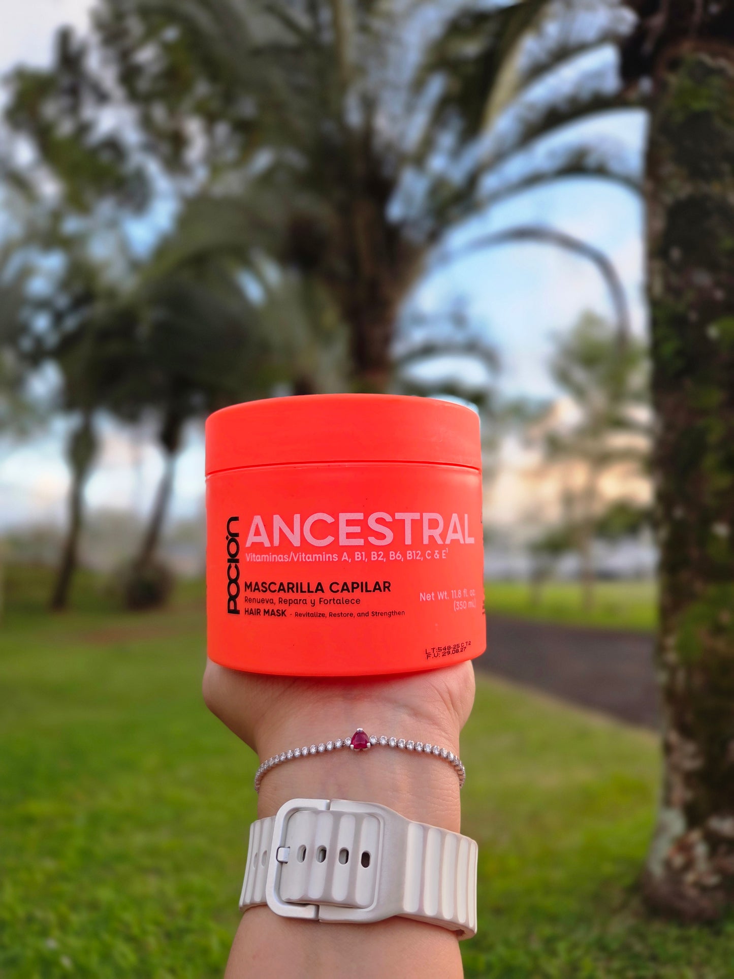 Mascarilla Ancestral La Poción – Nutrición y Reparación Intensiva