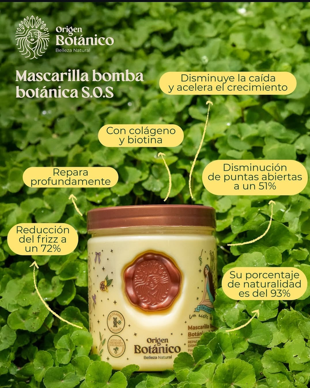 Kit Reparación, Brillo & Keratina Origen Botánico