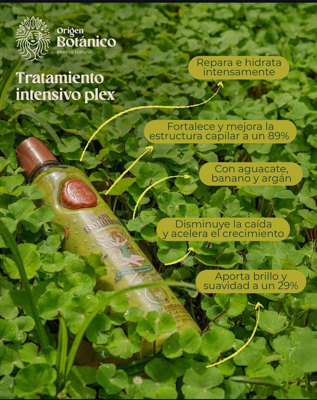 Kit Reparación, Brillo & Keratina Origen Botánico
