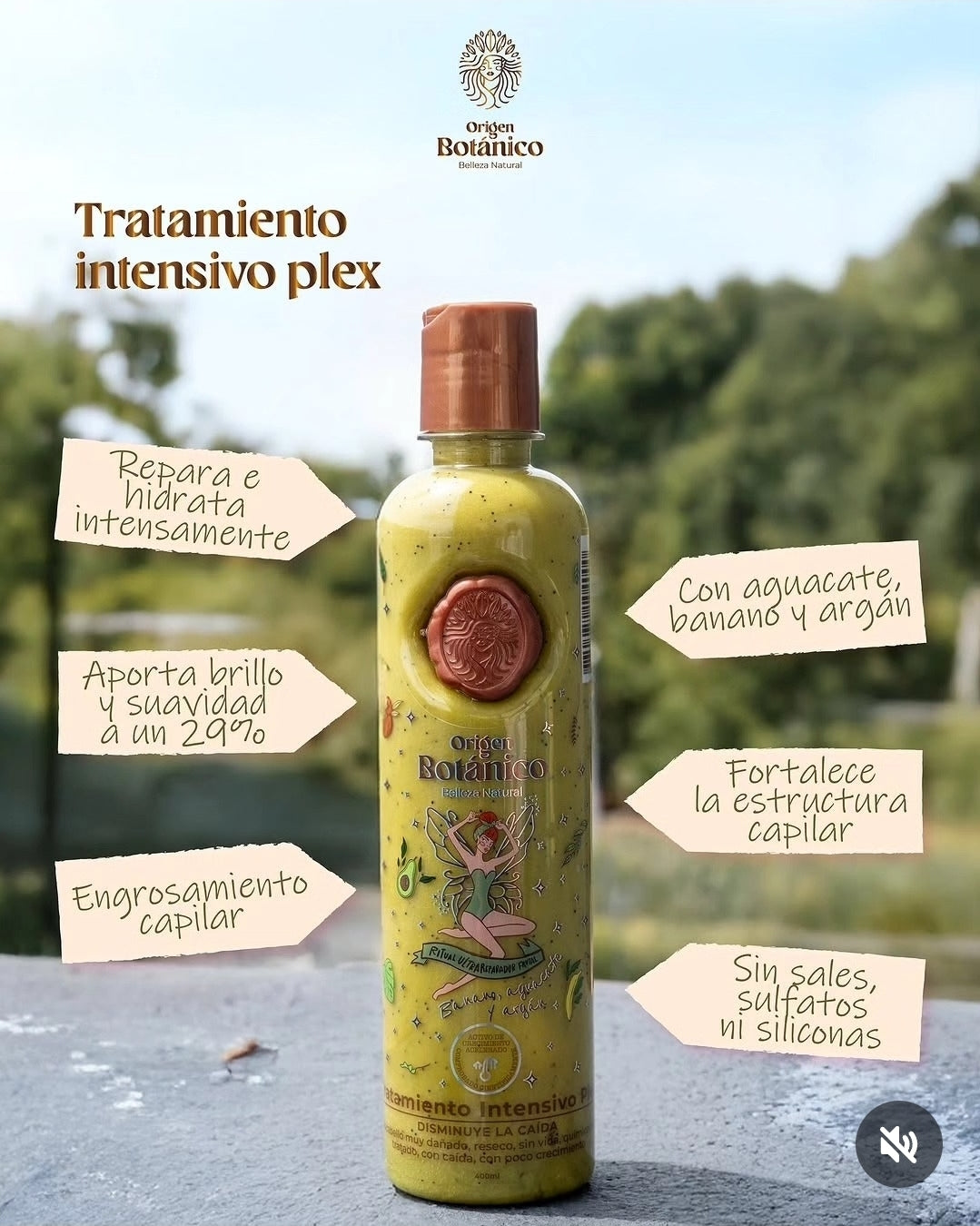 Kit Control Caspa Origen Botánico | Limpieza, Reparación y Fortalecimiento Capilar